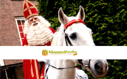 Sinterklaas in het land; tijd voor leuke kadootjes